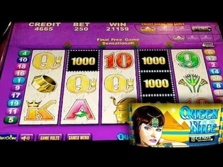 $770 Gratis casinotoernooi bij Platinum Play Casino